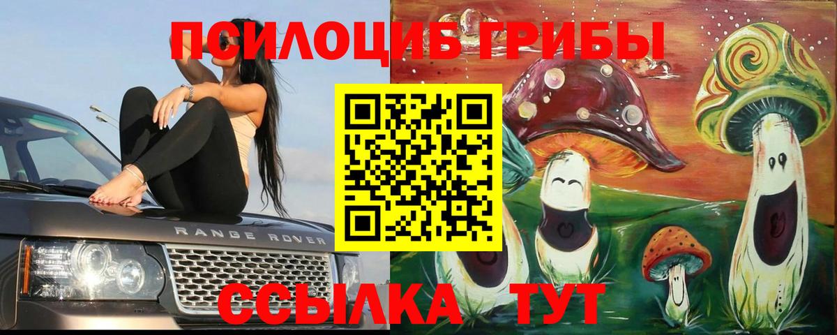 Чита  Галлюциногенные грибы ЛСД  Псилоцибиновые грибы GOLDEN TEACHER  Вход с VPN 
